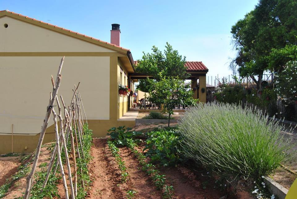 Apartamentos La Bodega Del Abuelo Bujalaro Екстериор снимка